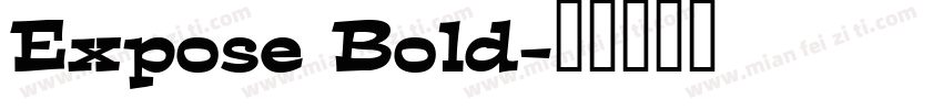 Expose Bold字体转换